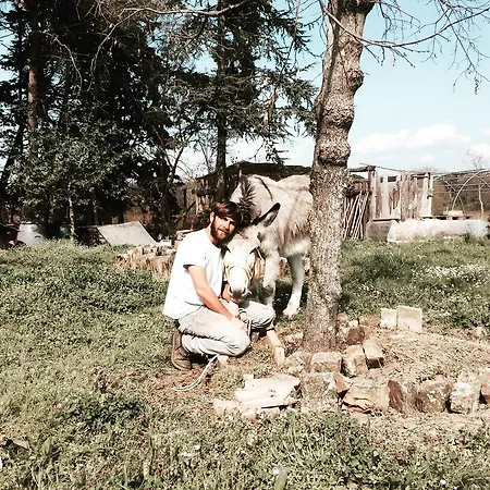 Fattoria Lara Vakantieboerderij Castiglione del Lago