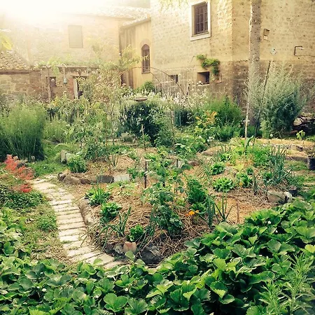 Fattoria Lara Bauernhof Castiglione del Lago