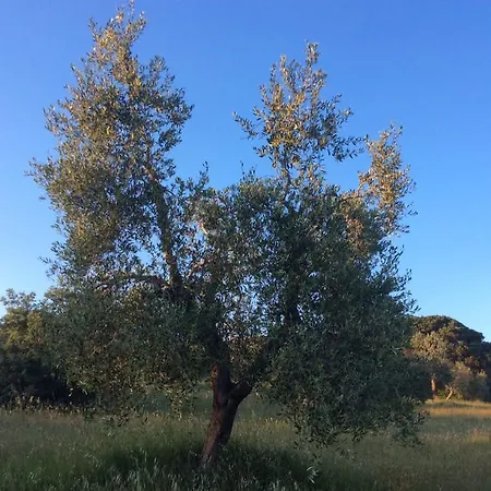 Vakantieboerderij Fattoria Lara *