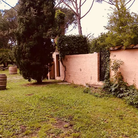 Fattoria Lara * Castiglione del Lago